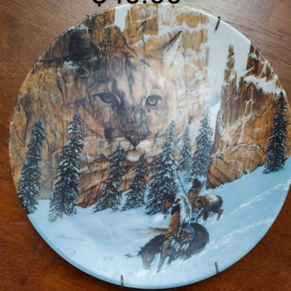 Native American Collectors Plates - Picture 16 of 16